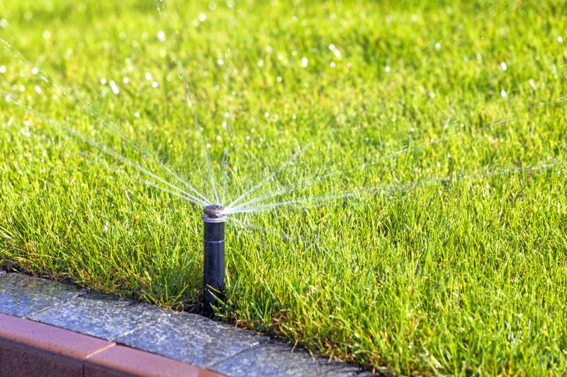 Lawn Sprinkler System Service