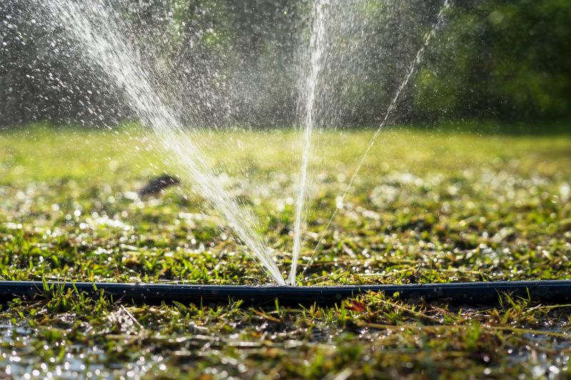 Lawn Sprinkler System Service