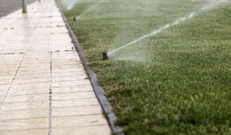 Lawn Sprinkler System Service